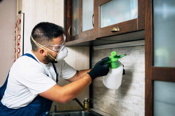 Best Ant Control Services  in Creedmoor, NC