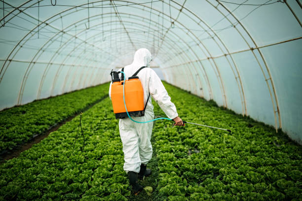 Best Affordable Pest Control Services  in Creedmoor, NC