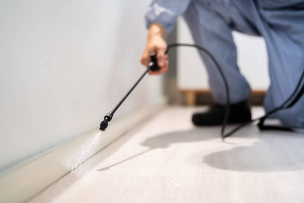 Best Pest Prevention Services  in Creedmoor, NC