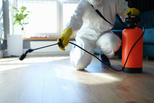 Best Local Pest Control Services  in Creedmoor, NC