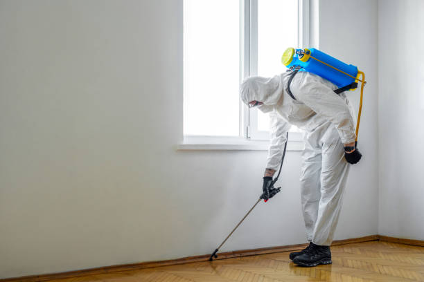 Best Mosquito Control Services  in Creedmoor, NC