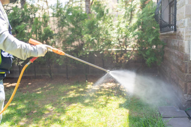 Best Emergency Pest Control  in Creedmoor, NC