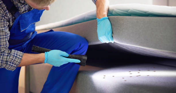Best Best Pest Control Companies  in Creedmoor, NC