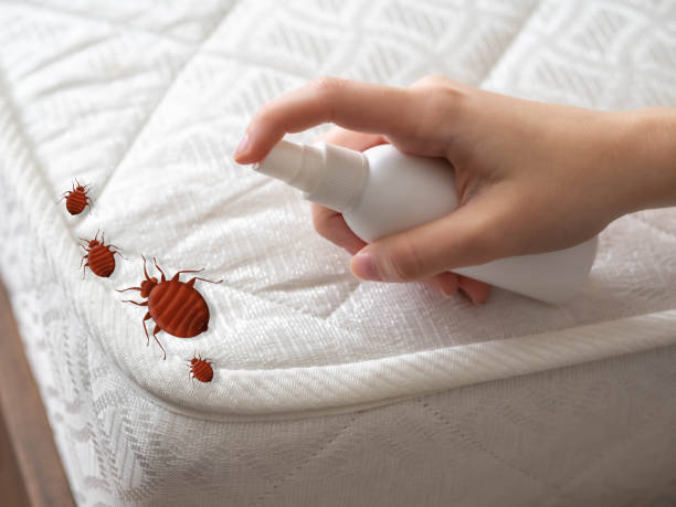 Pest Control Cost in Creedmoor, NC