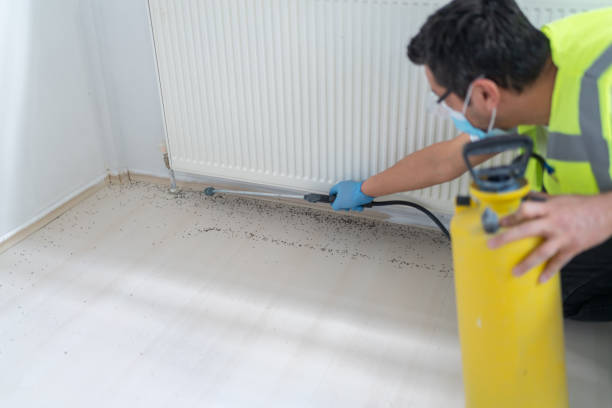 Best Best Pest Control Companies  in Creedmoor, NC